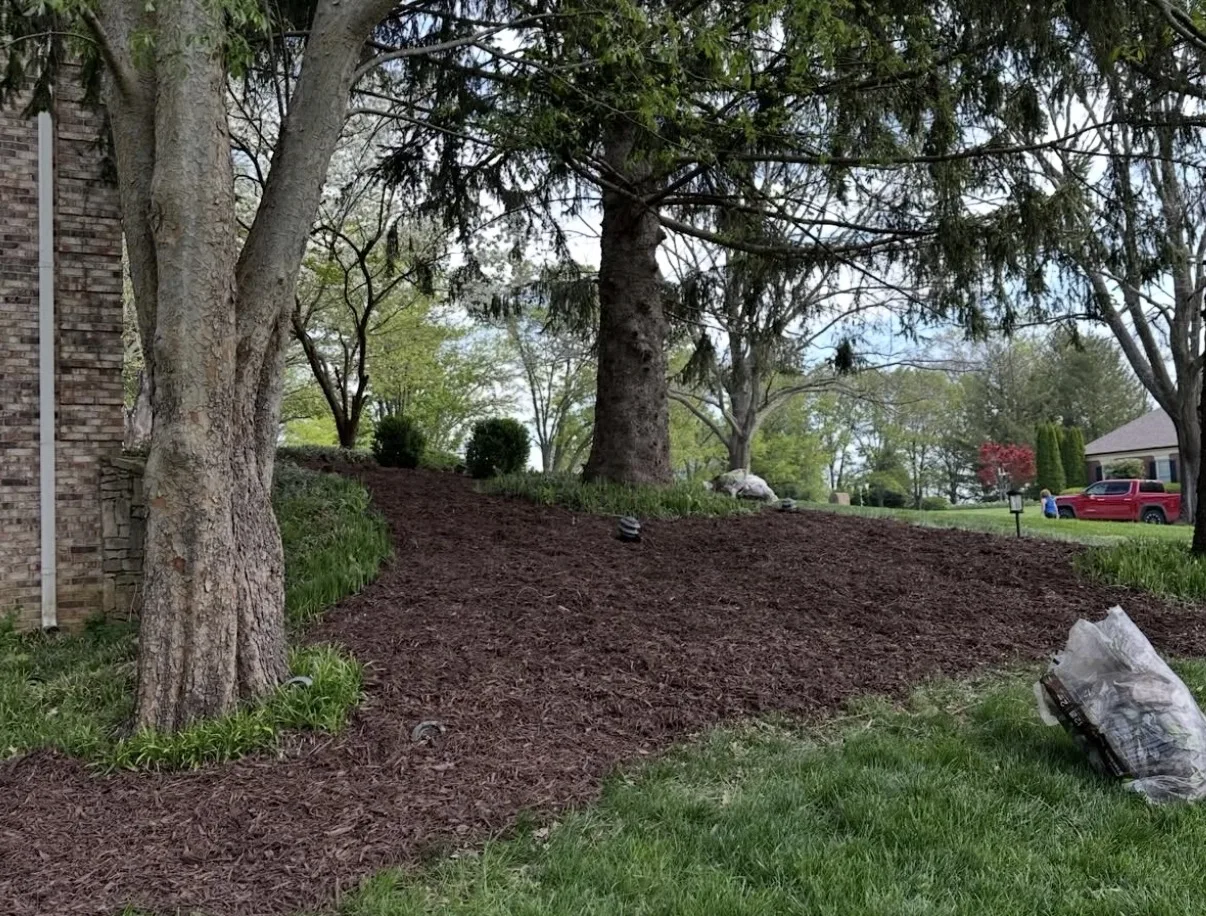 Mulch installation