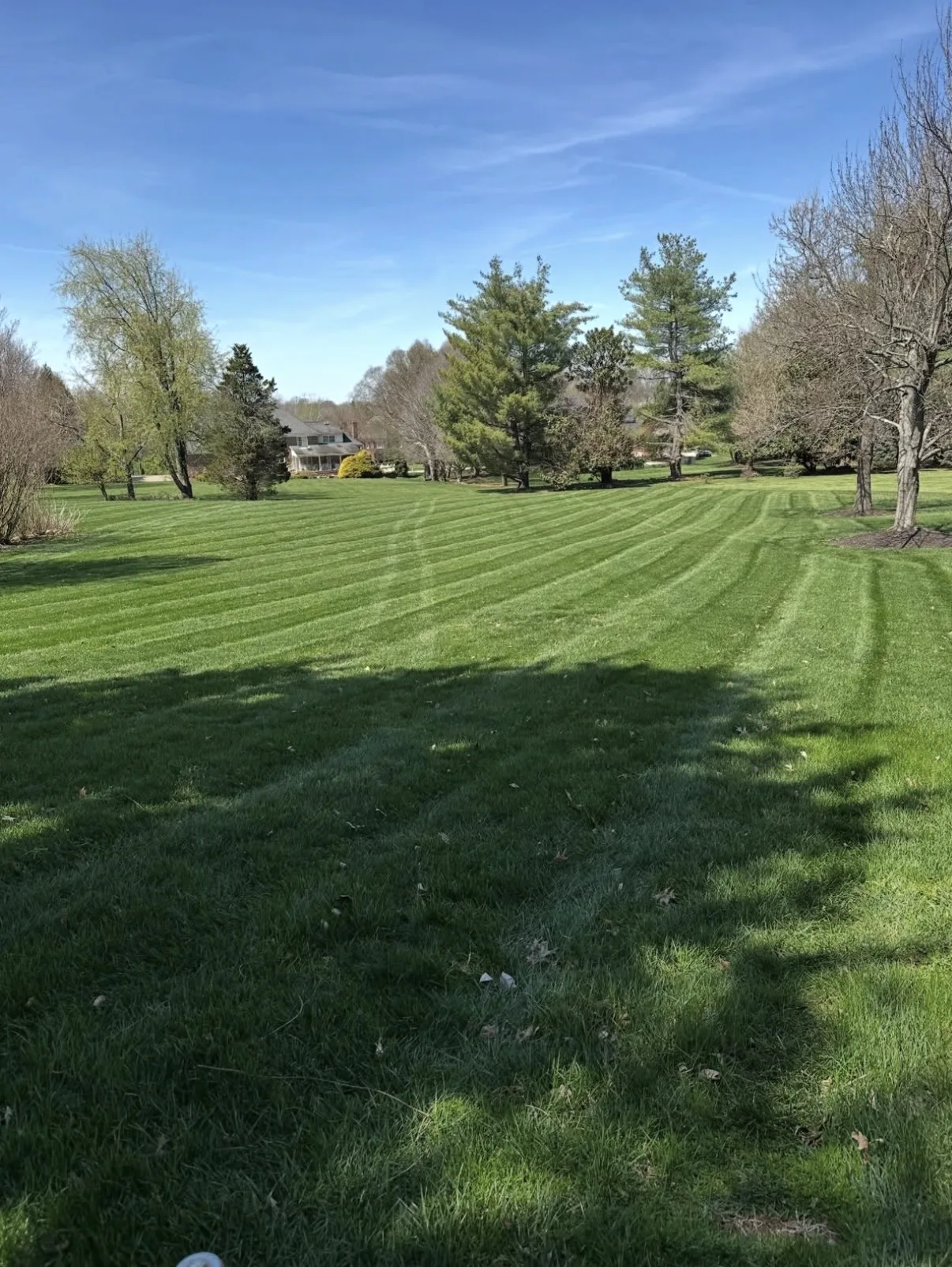 BigDog zero turn mower